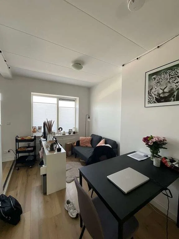 Foto van de Studio gelegen aan de Johan de Wittlaan in Arnhem