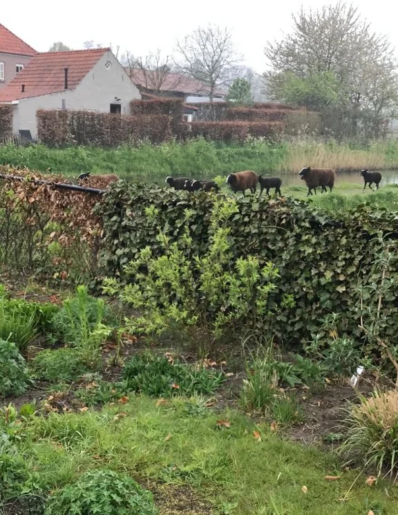 Foto van de Appartement gelegen aan de Reuselhof in Moergestel