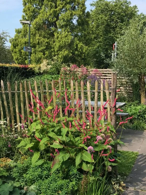 Foto van de Appartement gelegen aan de Reuselhof in Moergestel