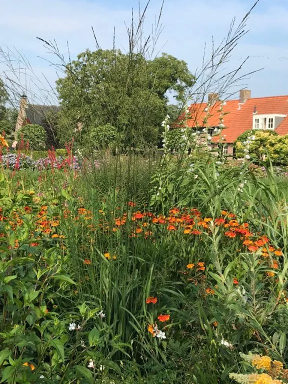 Foto van de Appartement gelegen aan de Reuselhof in Moergestel