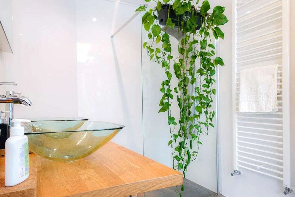 Foto van de Appartement gelegen aan de Kinkerstraat in Amsterdam
