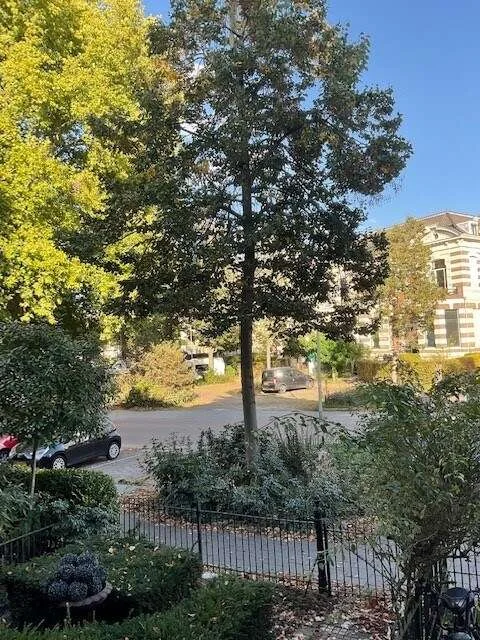 Foto van de Kamer gelegen aan de Boulevard Heuvelink in Arnhem