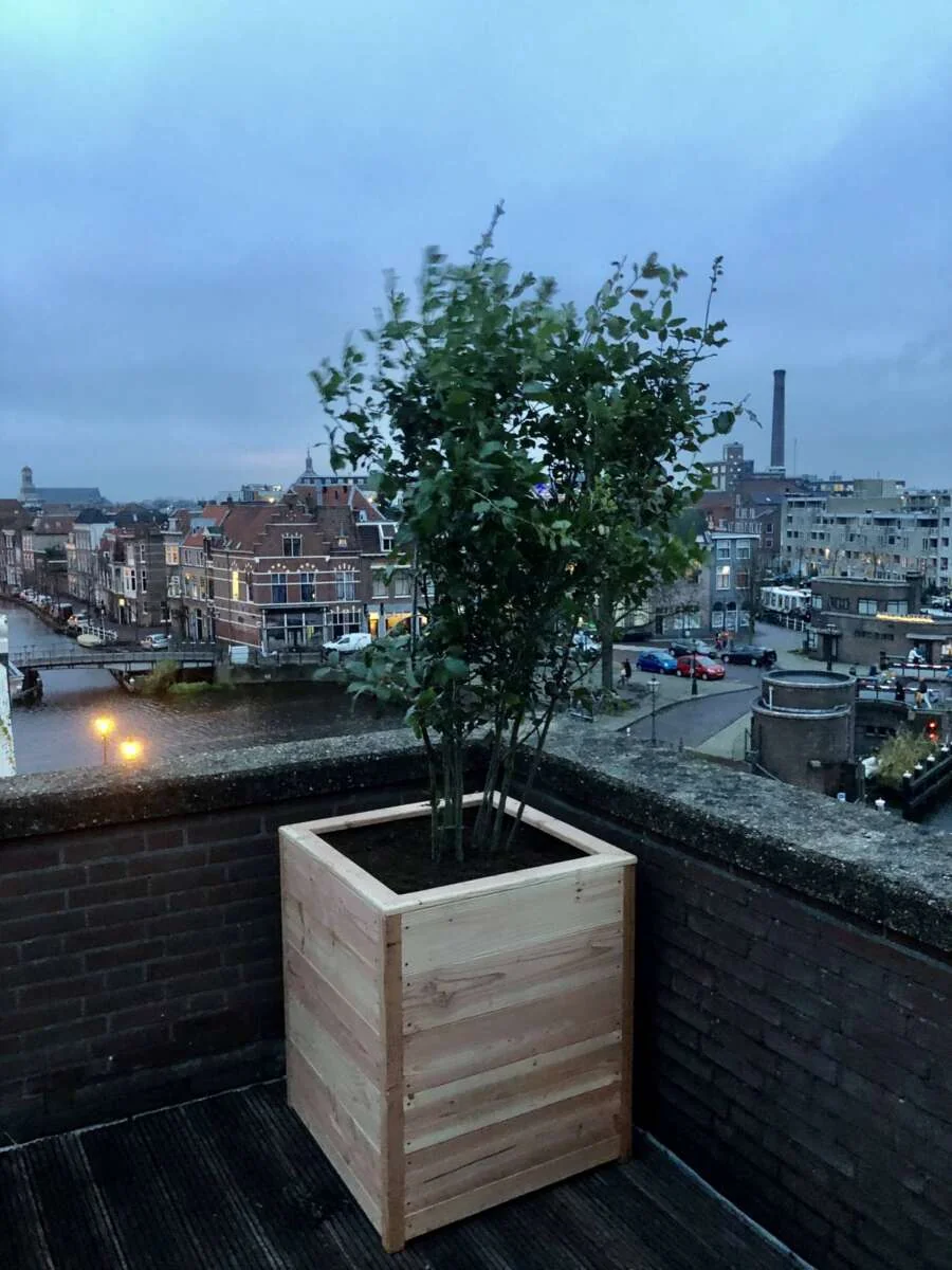 Foto van de Appartement gelegen aan de Touwslagersgang in Leiden