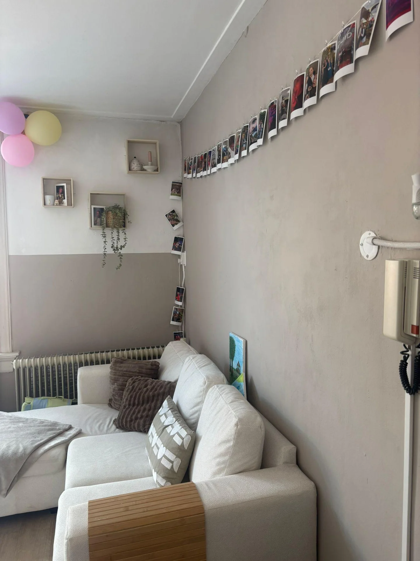 Foto van de Kamer gelegen aan de Nassaulaan in Groningen