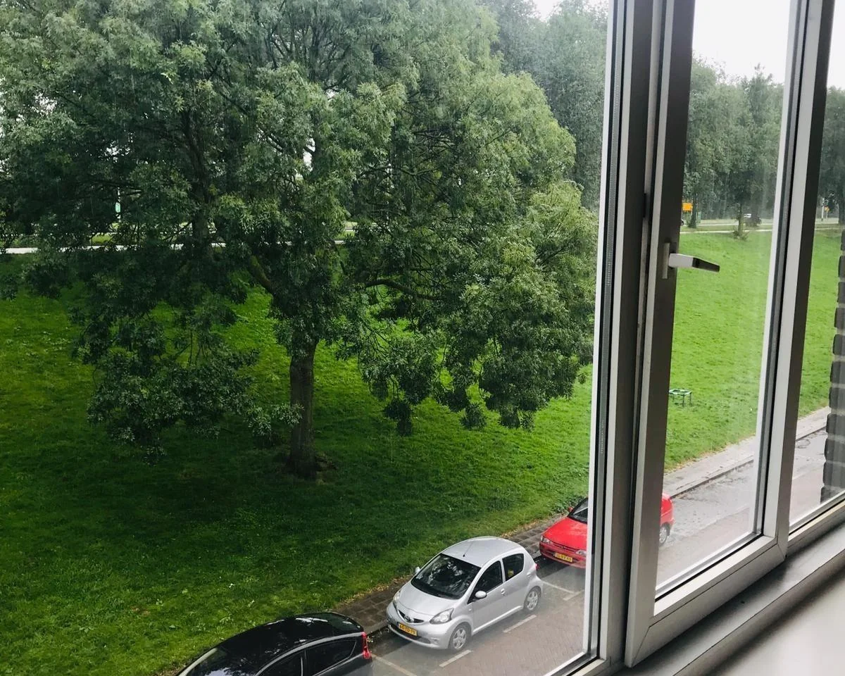 Foto van de Kamer gelegen aan de Schiedamseweg Beneden in Rotterdam