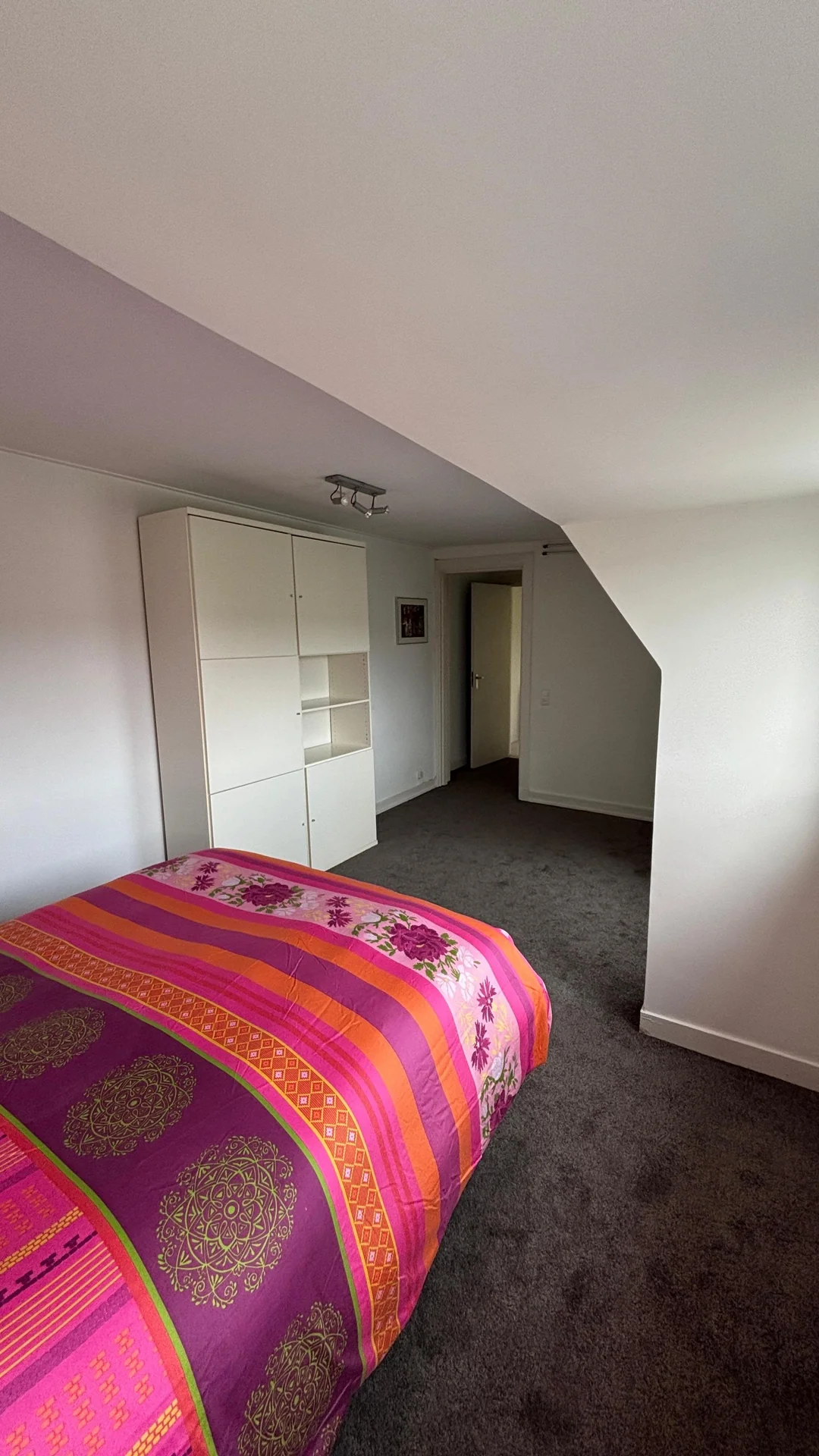 Foto van de Kamer gelegen aan de Rooseveltlaan in Amsterdam