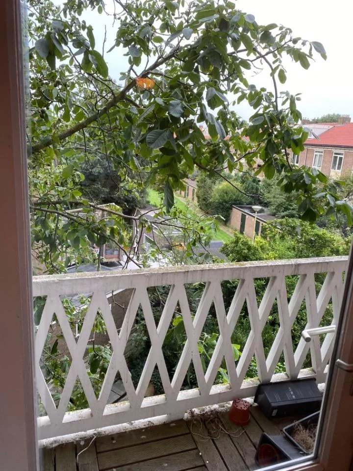 Foto van de Kamer gelegen aan de Graslaan in Arnhem