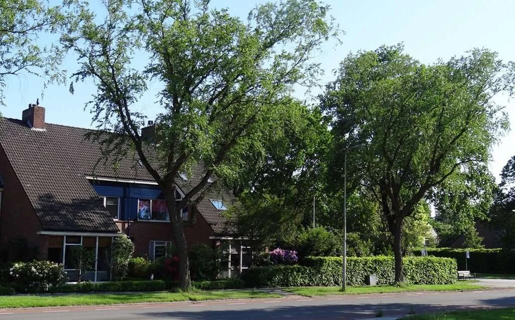 Foto van de Appartement gelegen aan de Emmalaan in Haren