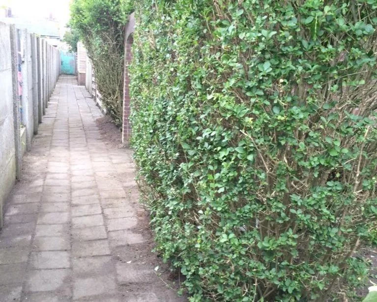 Foto van de Kamer gelegen aan de Paul Krugerstraat in Vlissingen
