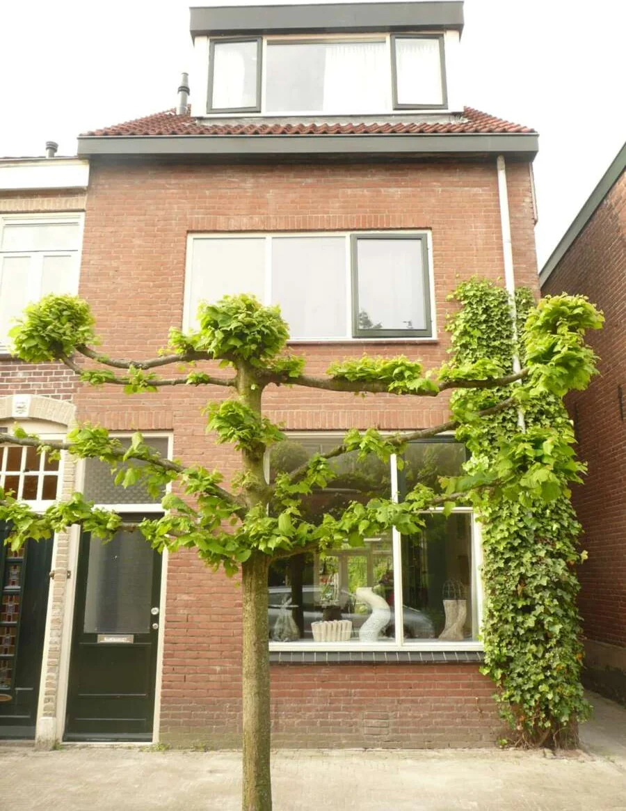 Foto van de Appartement gelegen aan de Van Bemmelstraat in Amersfoort