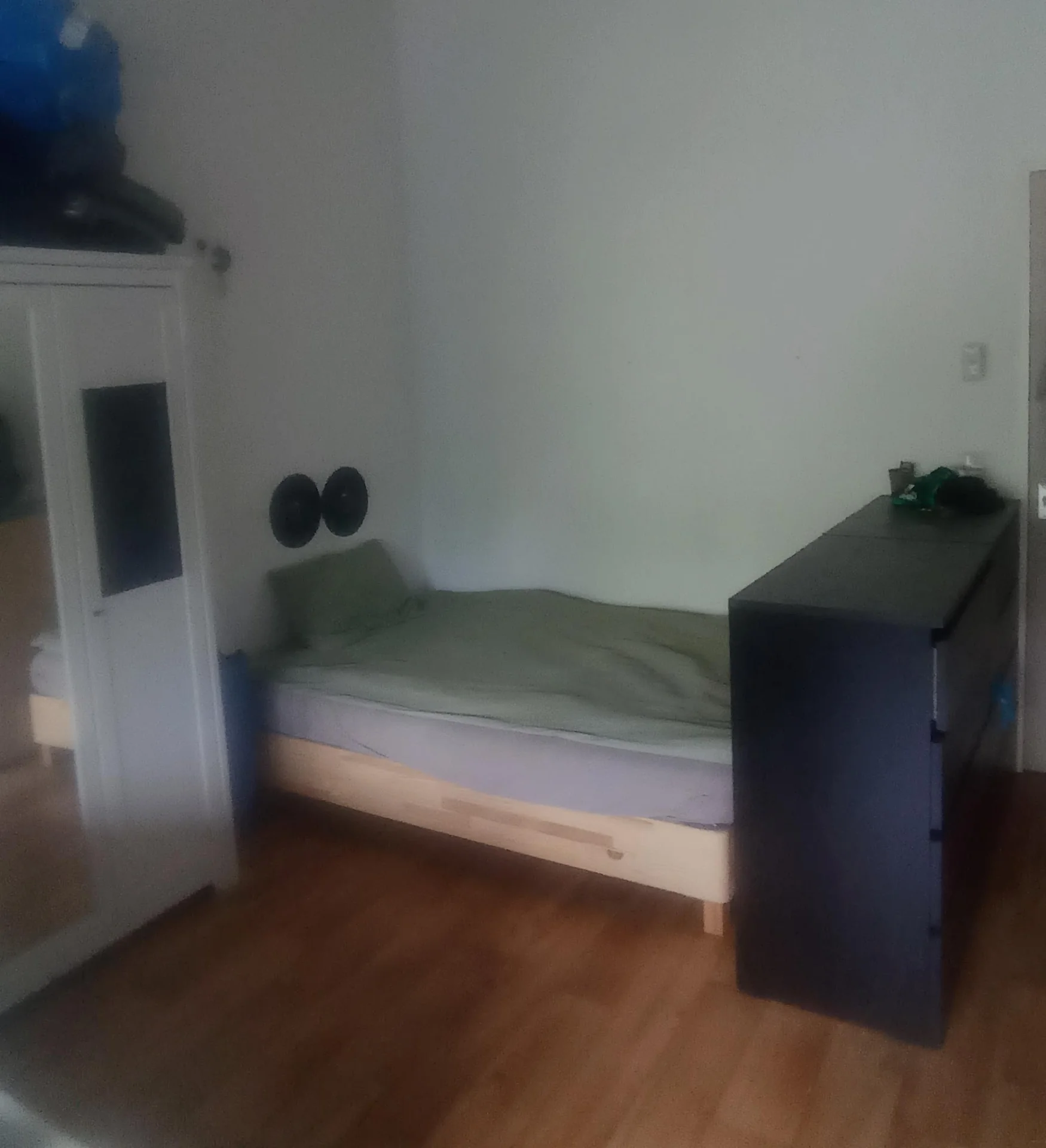 Foto van de Kamer gelegen aan de Ravellaan in Utrecht