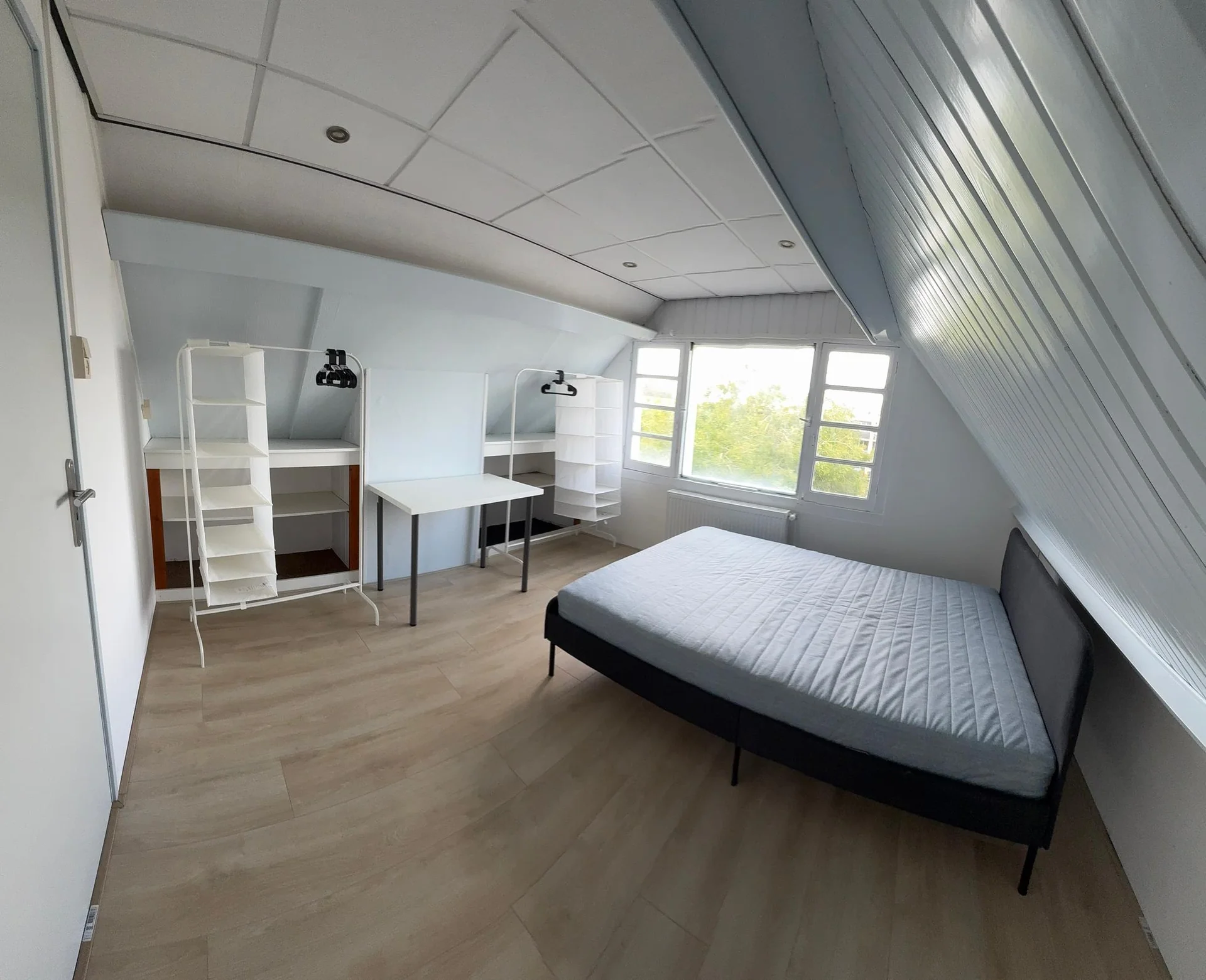 Foto van de Kamer gelegen aan de Woelwijkstraat in Rotterdam
