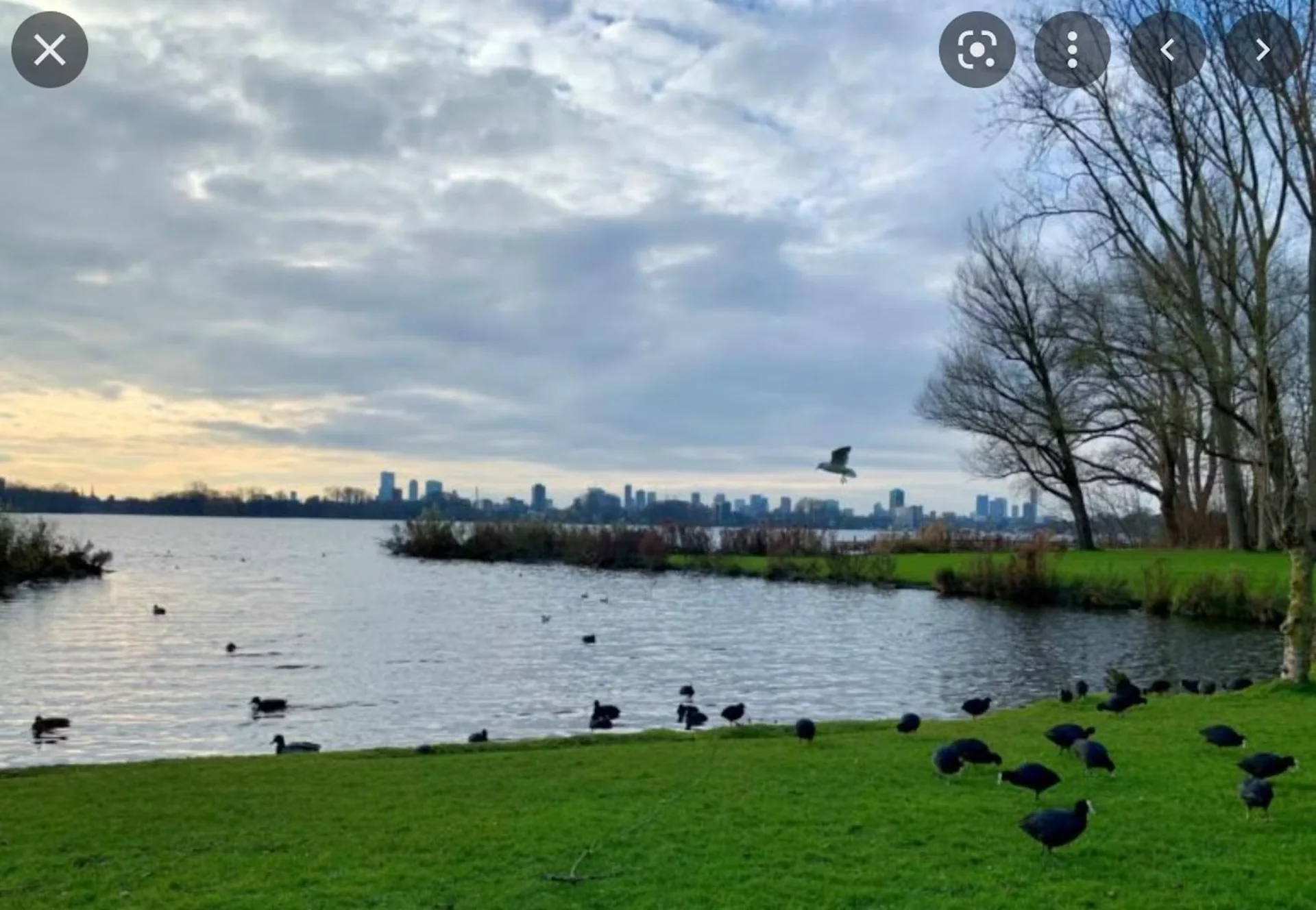 Foto van de Appartement gelegen aan de Prinsenlaan in Rotterdam