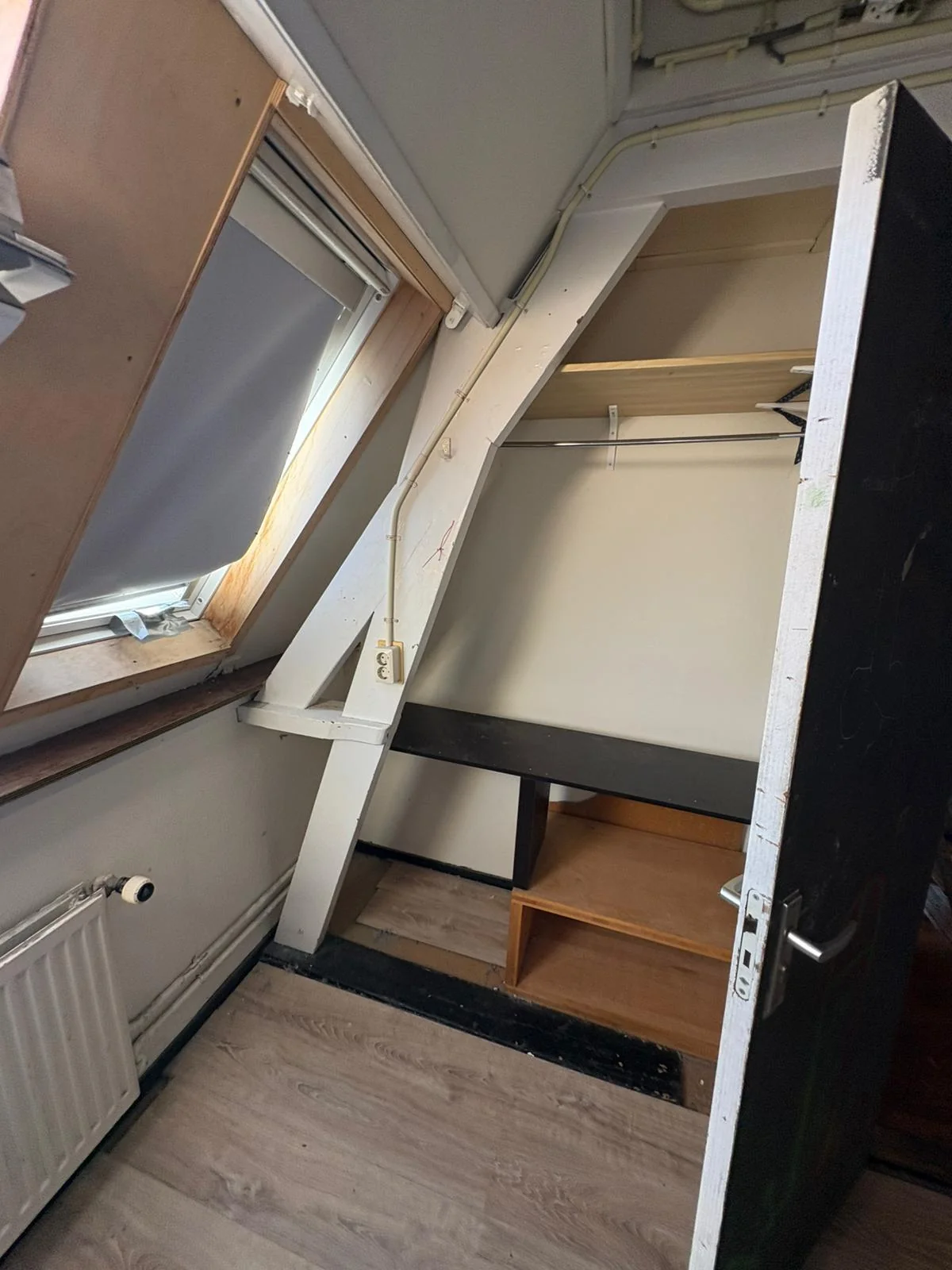 Foto van de Kamer gelegen aan de Oranje Plantage in Delft