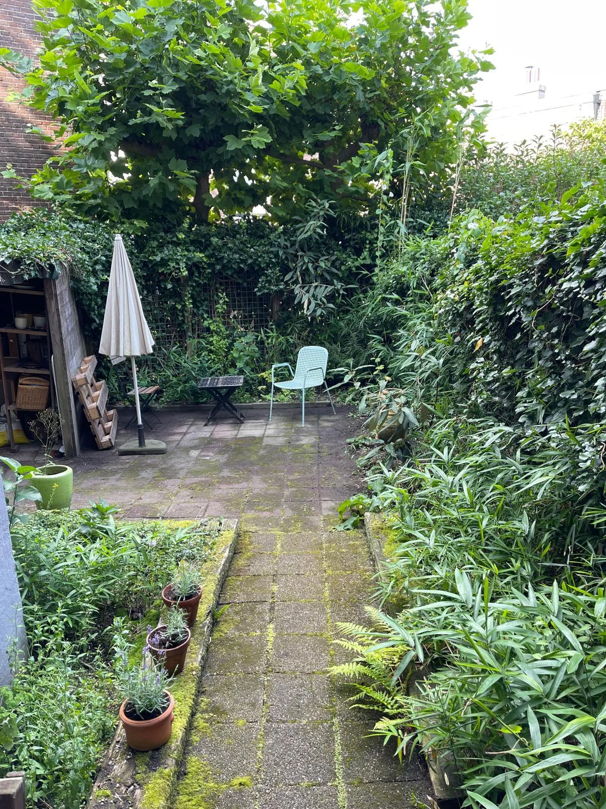 Foto van de Appartement gelegen aan de Van Lawick van Pabststraat in Arnhem