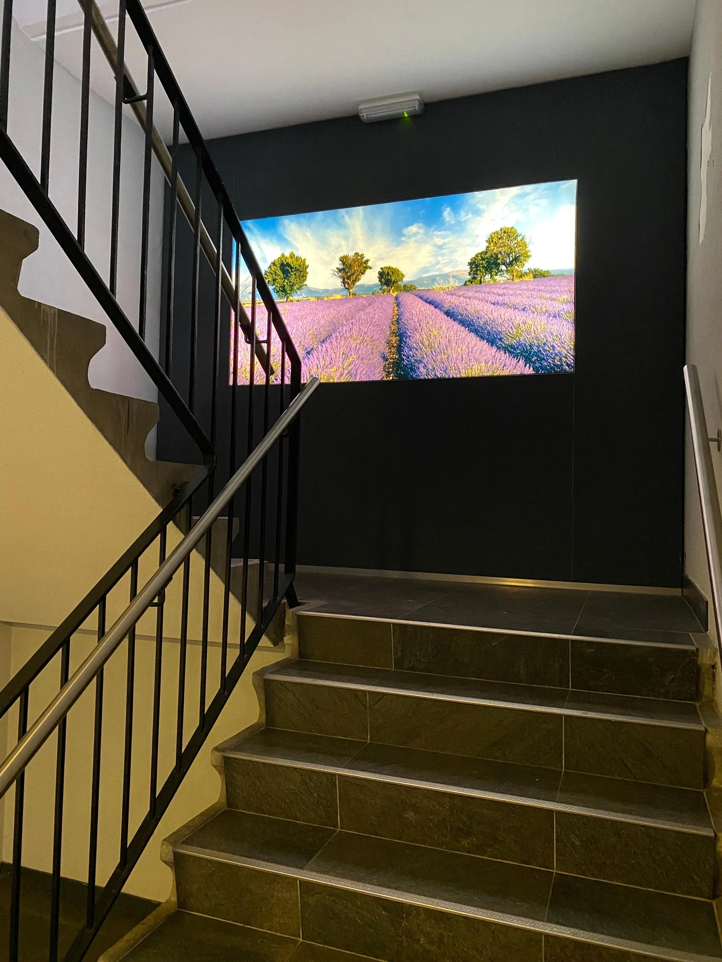 Foto van de Kamer gelegen aan de Wijenburglaan in Arnhem