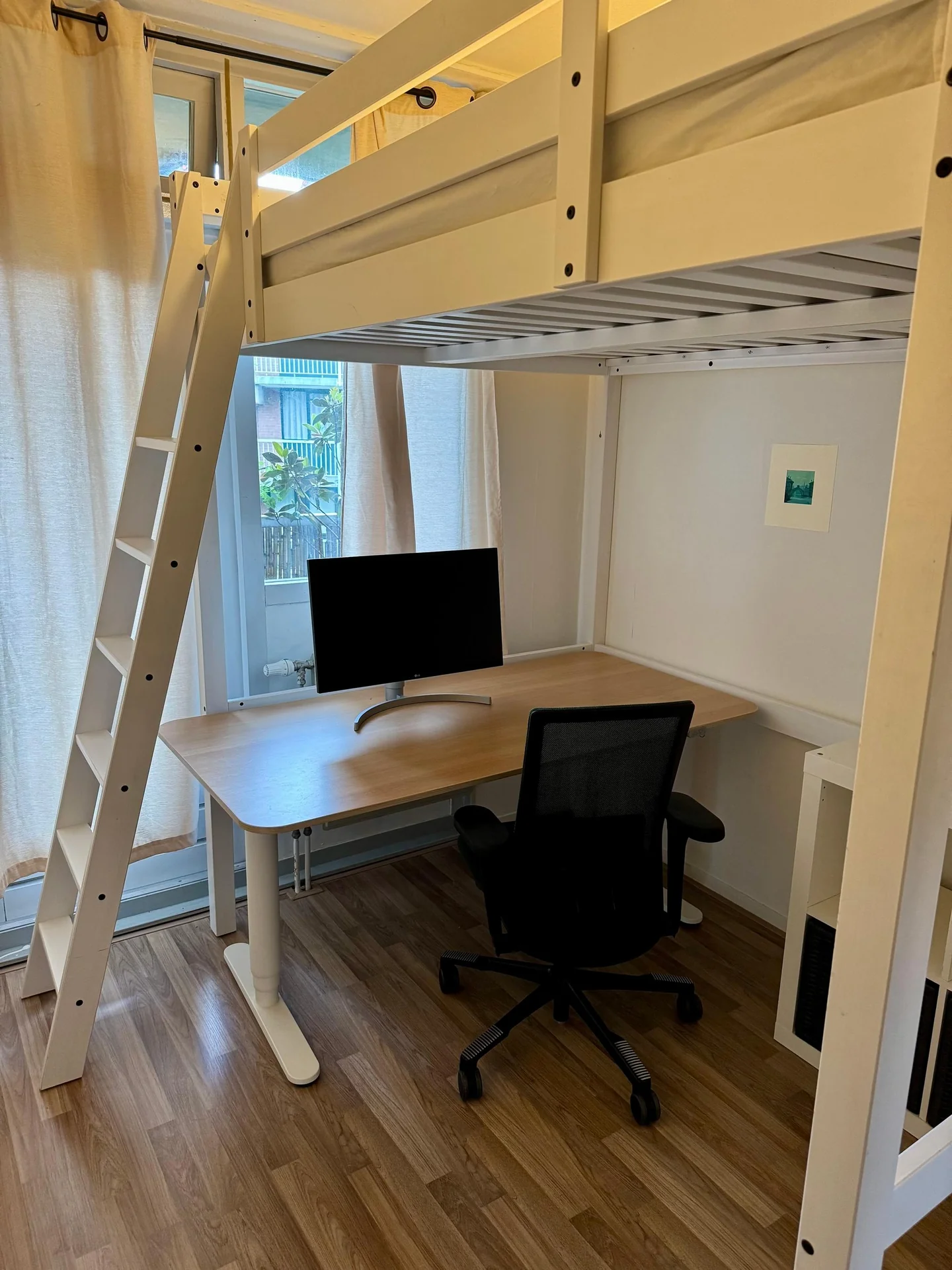 Foto van de Kamer gelegen aan de Gravin Adelastraat in Rotterdam