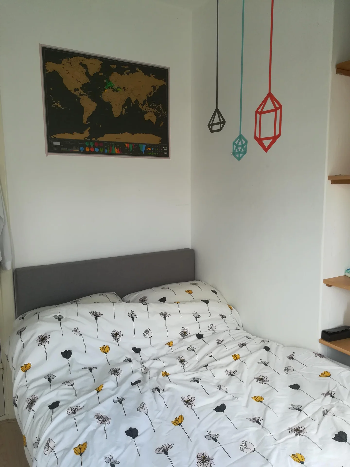 Foto van de Kamer gelegen aan de Dorus Rijkersstraat in Groningen