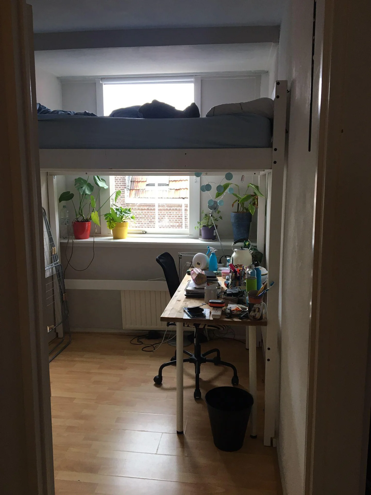 Foto van de Kamer gelegen aan de Wassenaarstraat in Delft