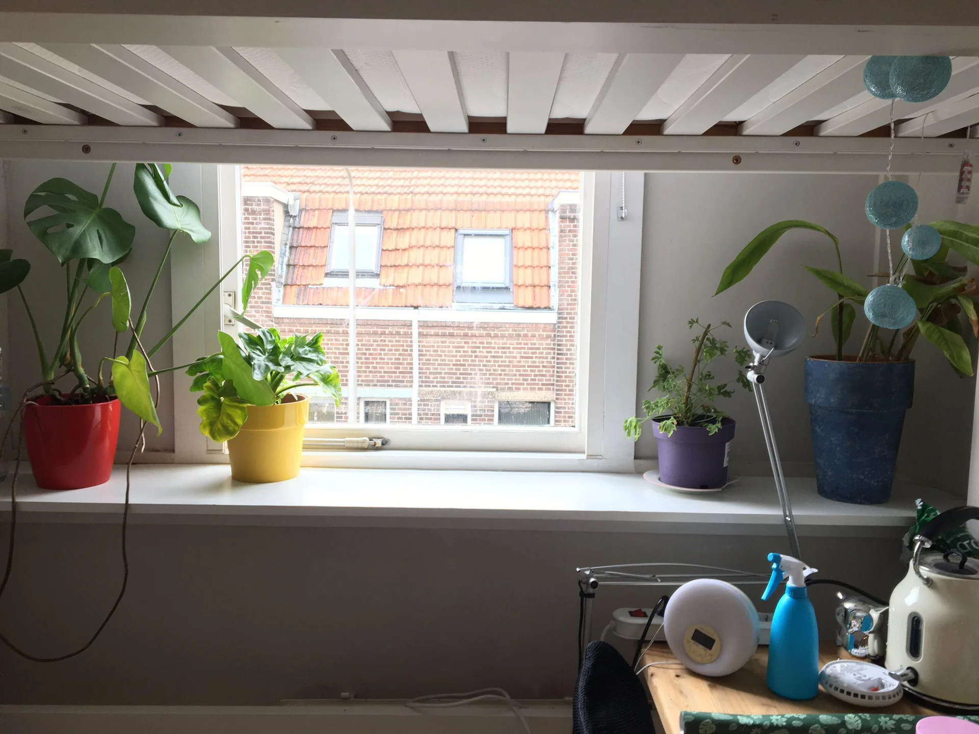 Foto van de Kamer gelegen aan de Wassenaarstraat in Delft