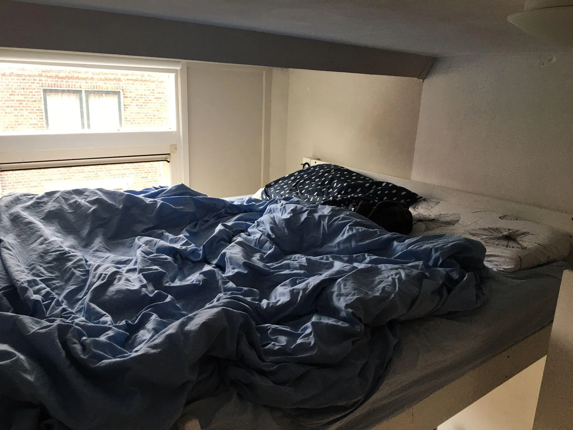 Foto van de Kamer gelegen aan de Wassenaarstraat in Delft