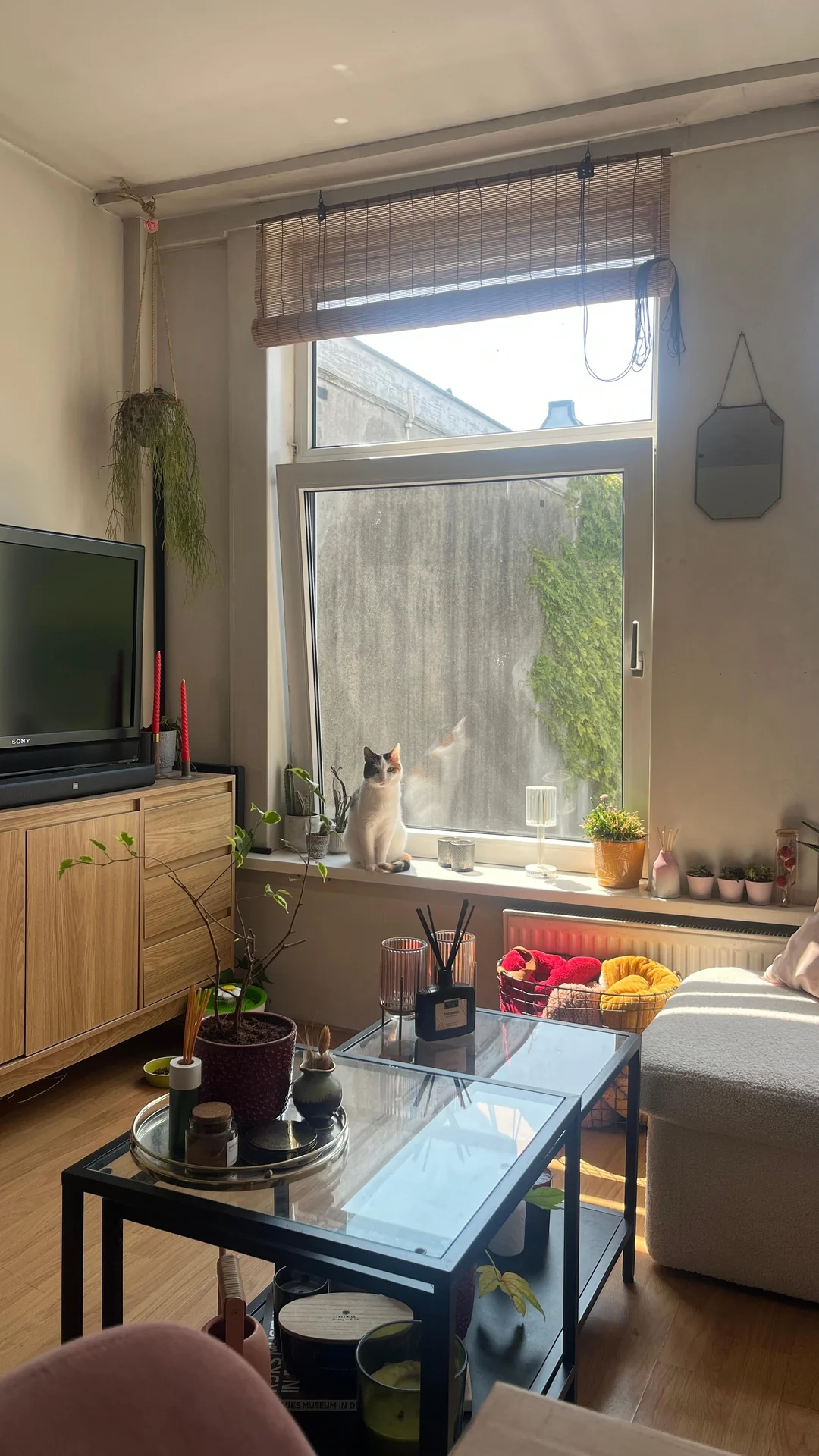 Foto van de Kamer gelegen aan de Quellijnstraat in Amsterdam