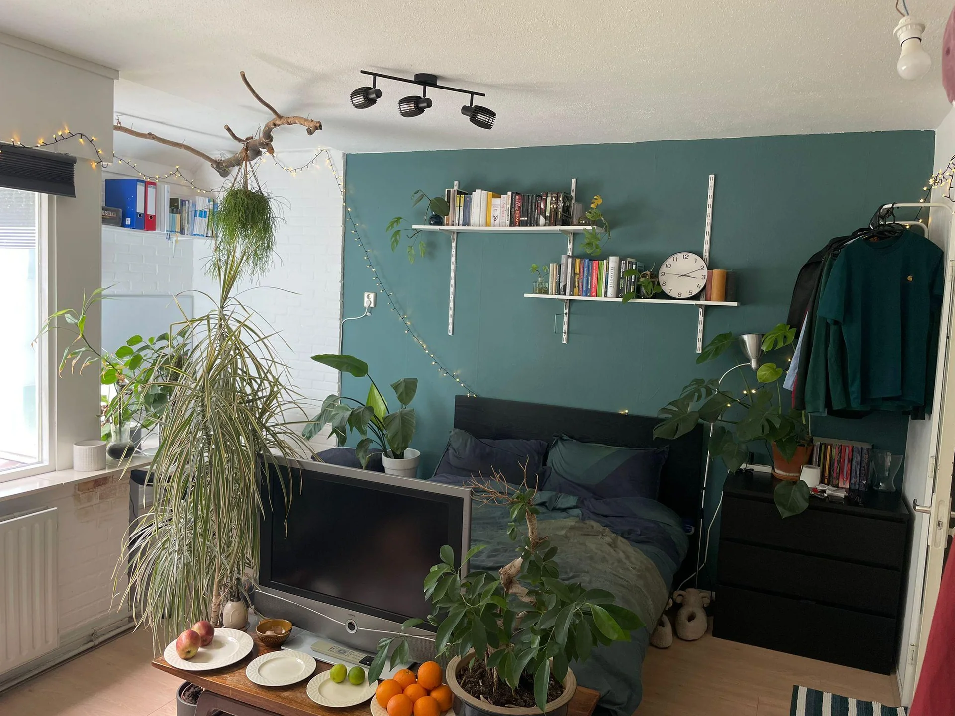 Foto van de Kamer gelegen aan de Kreekrugpad in Delft
