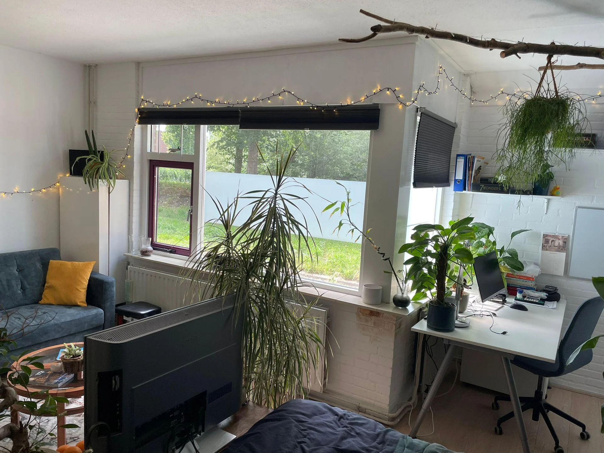 Foto van de Kamer gelegen aan de Kreekrugpad in Delft