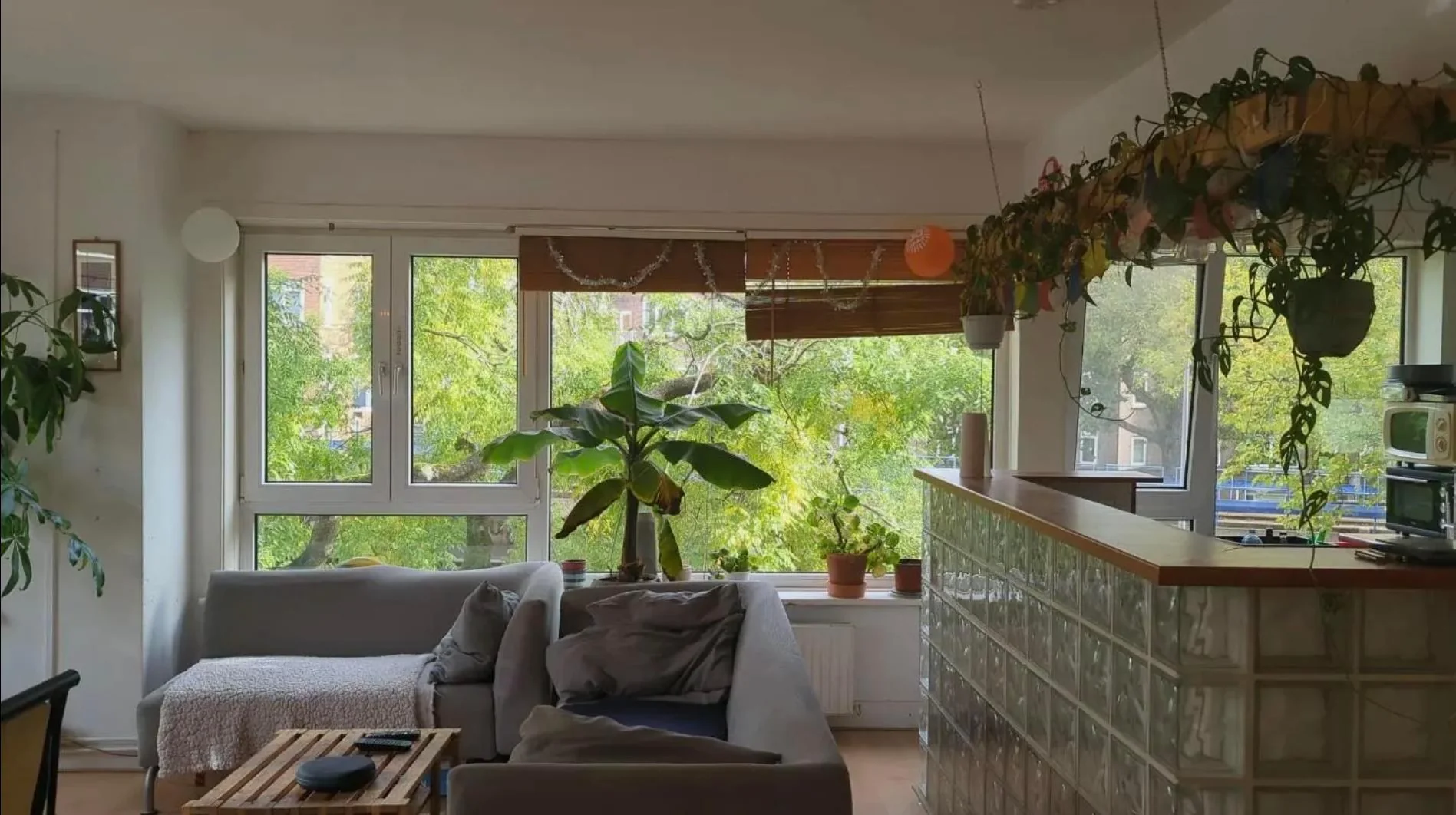 Foto van de Kamer gelegen aan de Schieweg in Rotterdam