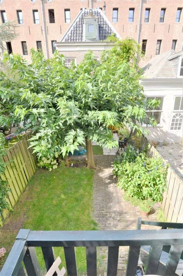 Foto van de Appartement gelegen aan de Maarten Jansz. Kosterstraat in Amsterdam