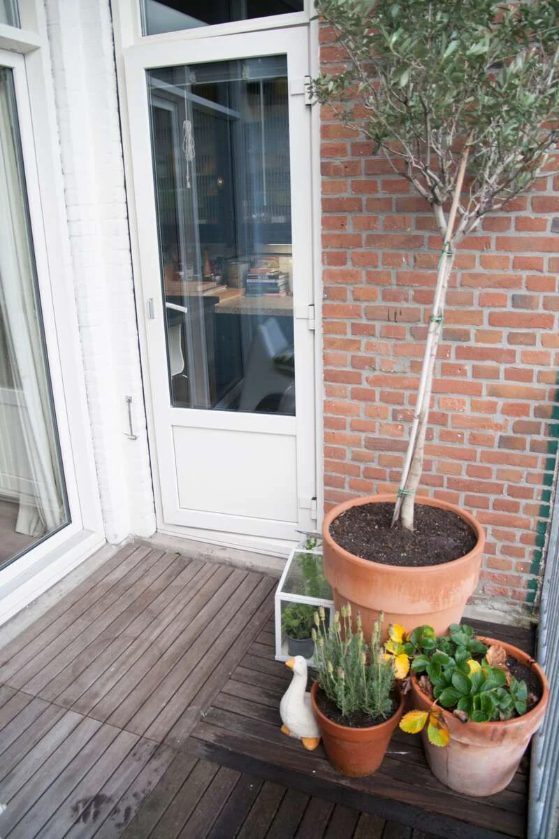 Foto van de Appartement gelegen aan de Berberisstraat in Den Haag