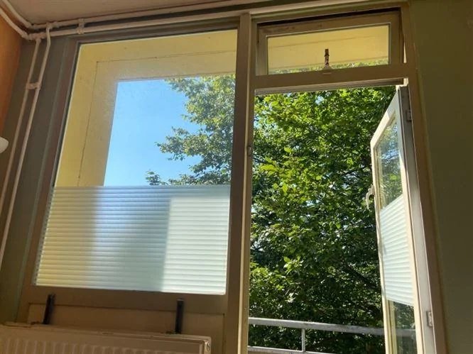 Foto van de Kamer gelegen aan de Wijnbesstraat in Nijmegen