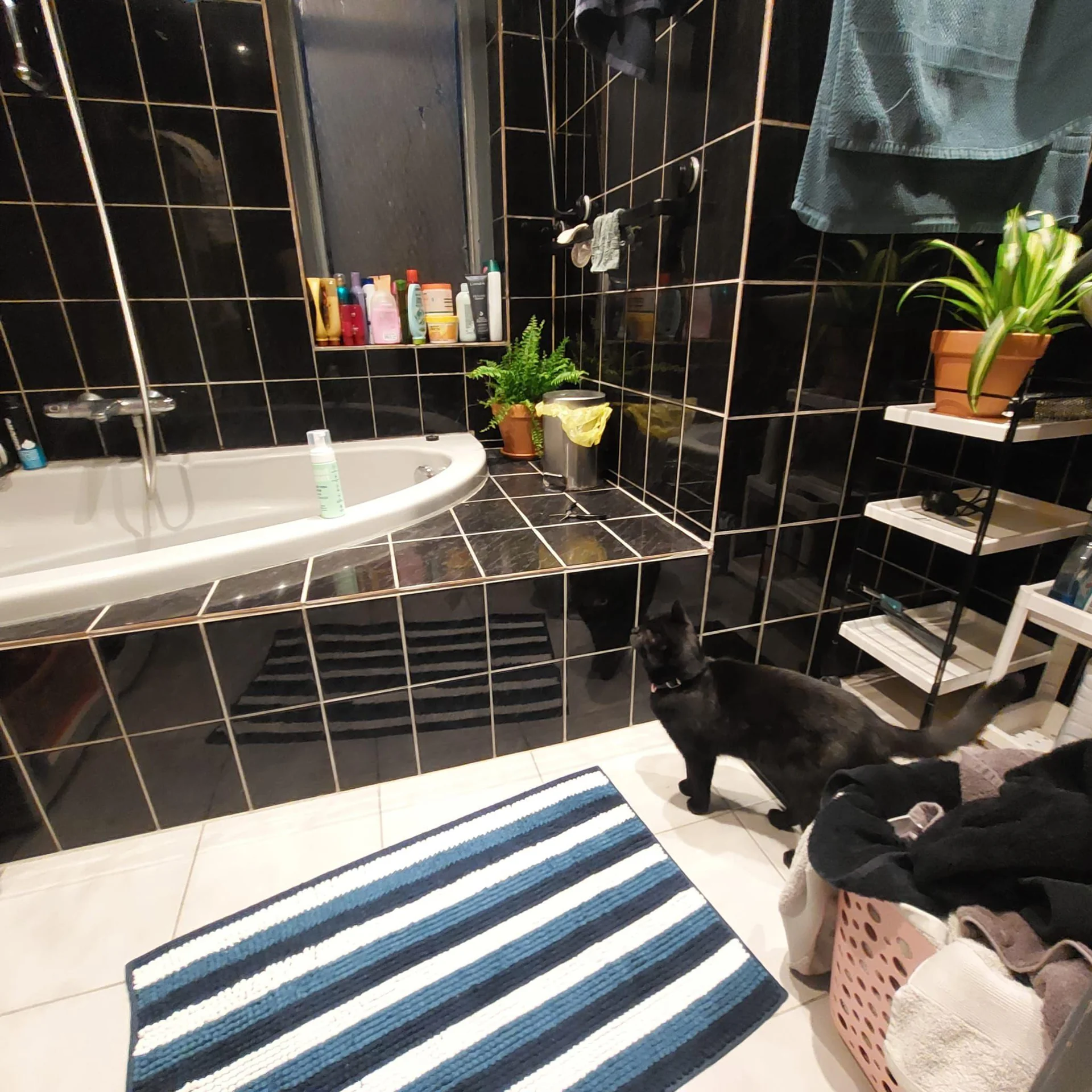 Foto van de Kamer gelegen aan de Korreweg in Groningen