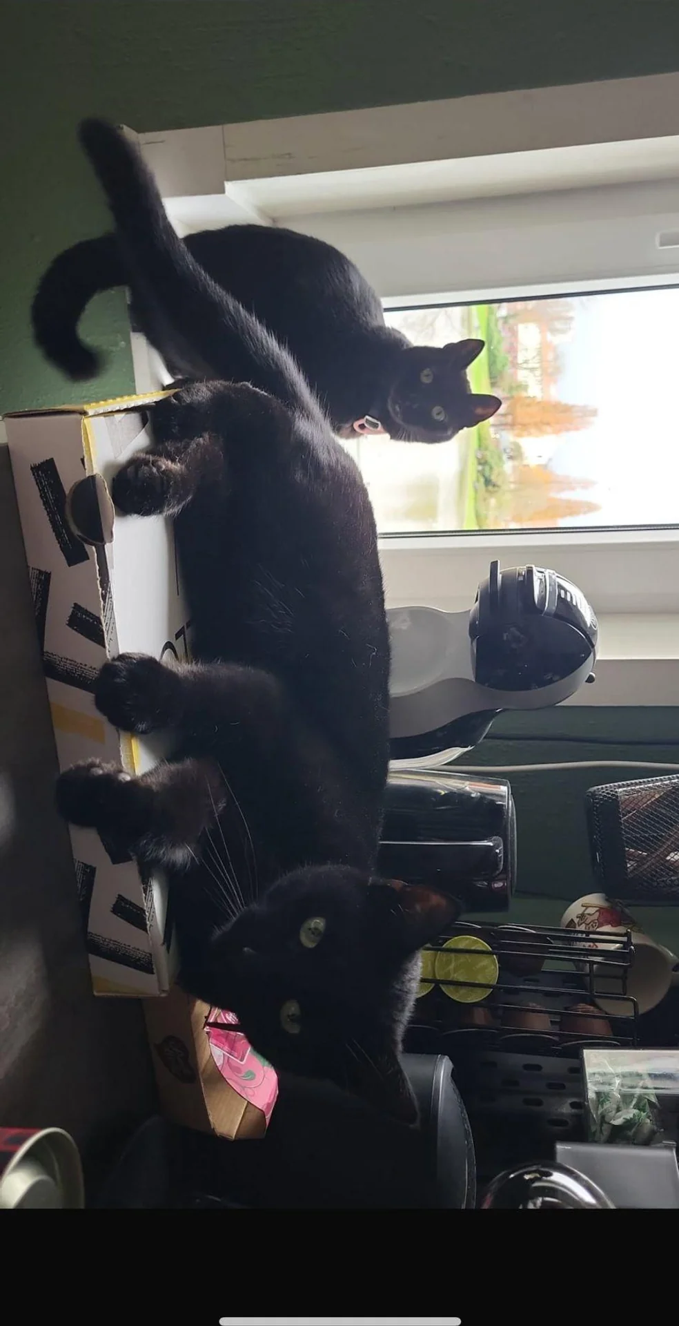 Foto van de Kamer gelegen aan de Korreweg in Groningen