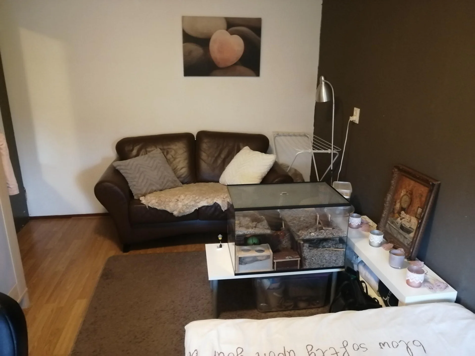 Foto van de Kamer gelegen aan de Javastraat in Arnhem