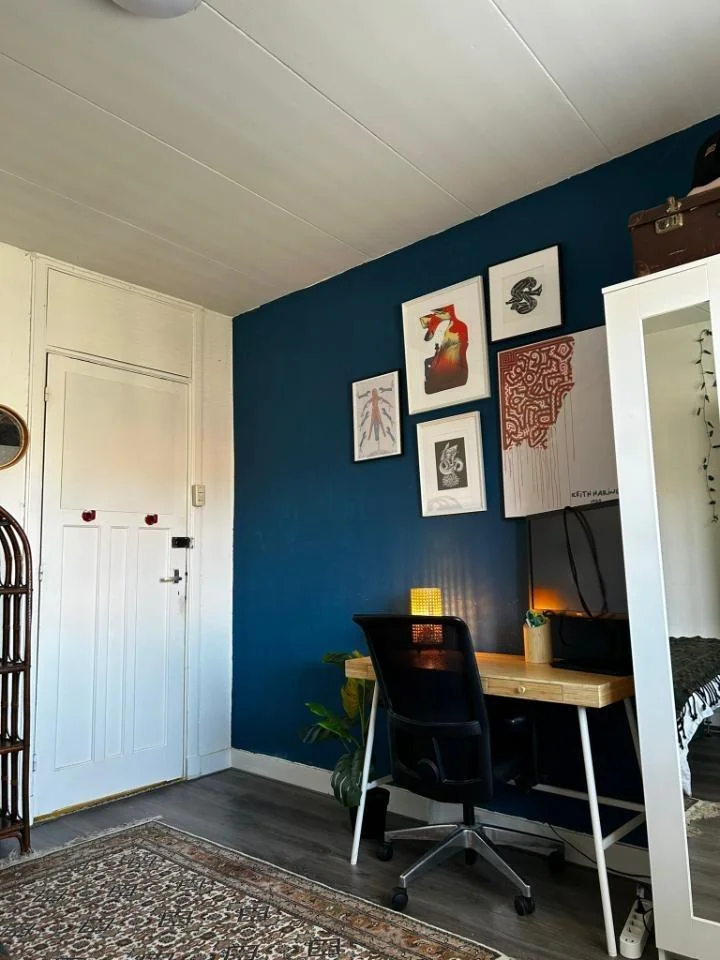 Foto van de Kamer gelegen aan de Nassaulaan in Haarlem