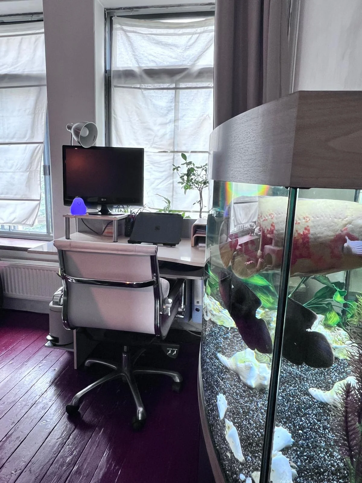 Foto van de Kamer gelegen aan de Lutherse Burgwal in Den Haag