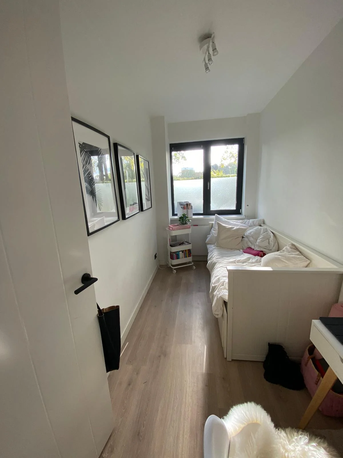 Foto van de Kamer gelegen aan de Hereweg in Groningen