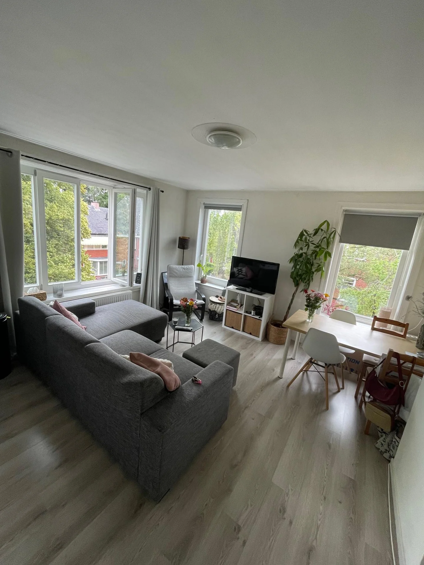 Foto van de Appartement gelegen aan de Van Panhuysstraat in Groningen