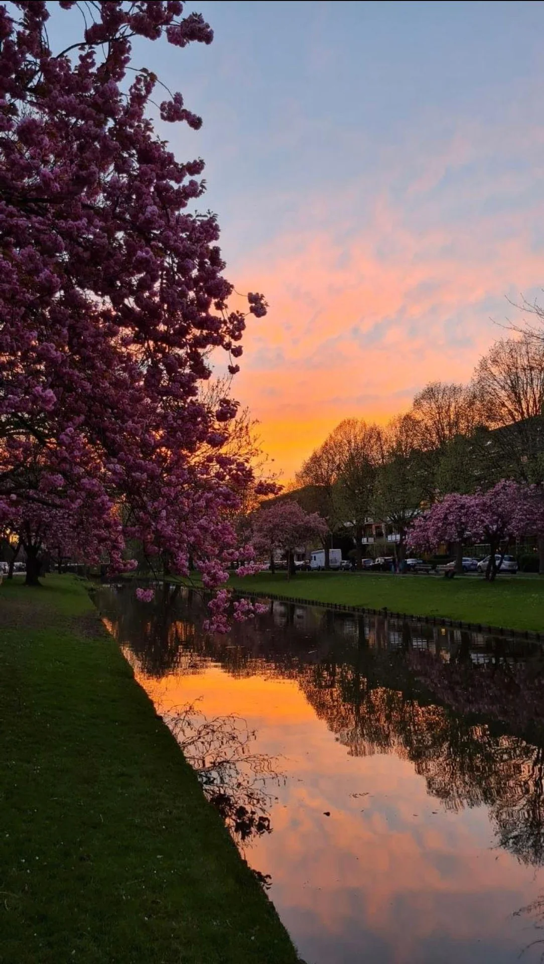 Foto van de Kamer gelegen aan de Statensingel in Rotterdam
