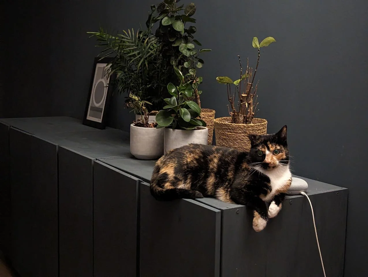 Foto van de Kamer gelegen aan de IJdoornlaan in Amsterdam