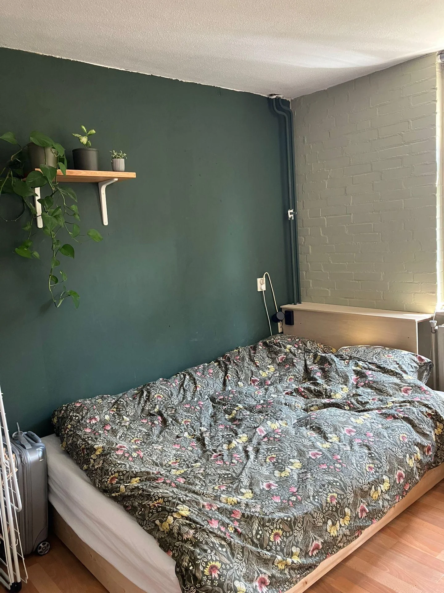 Foto van de Kamer gelegen aan de Vinkenlaan in Delft