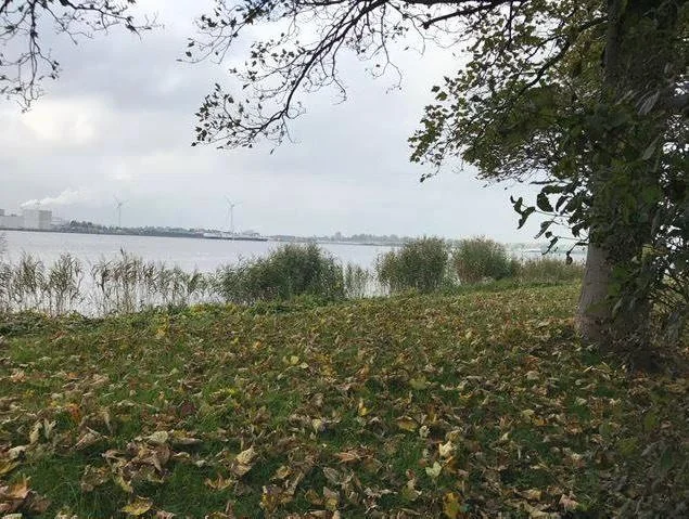 Foto van de Kamer gelegen aan de Hemkade in Zaandam