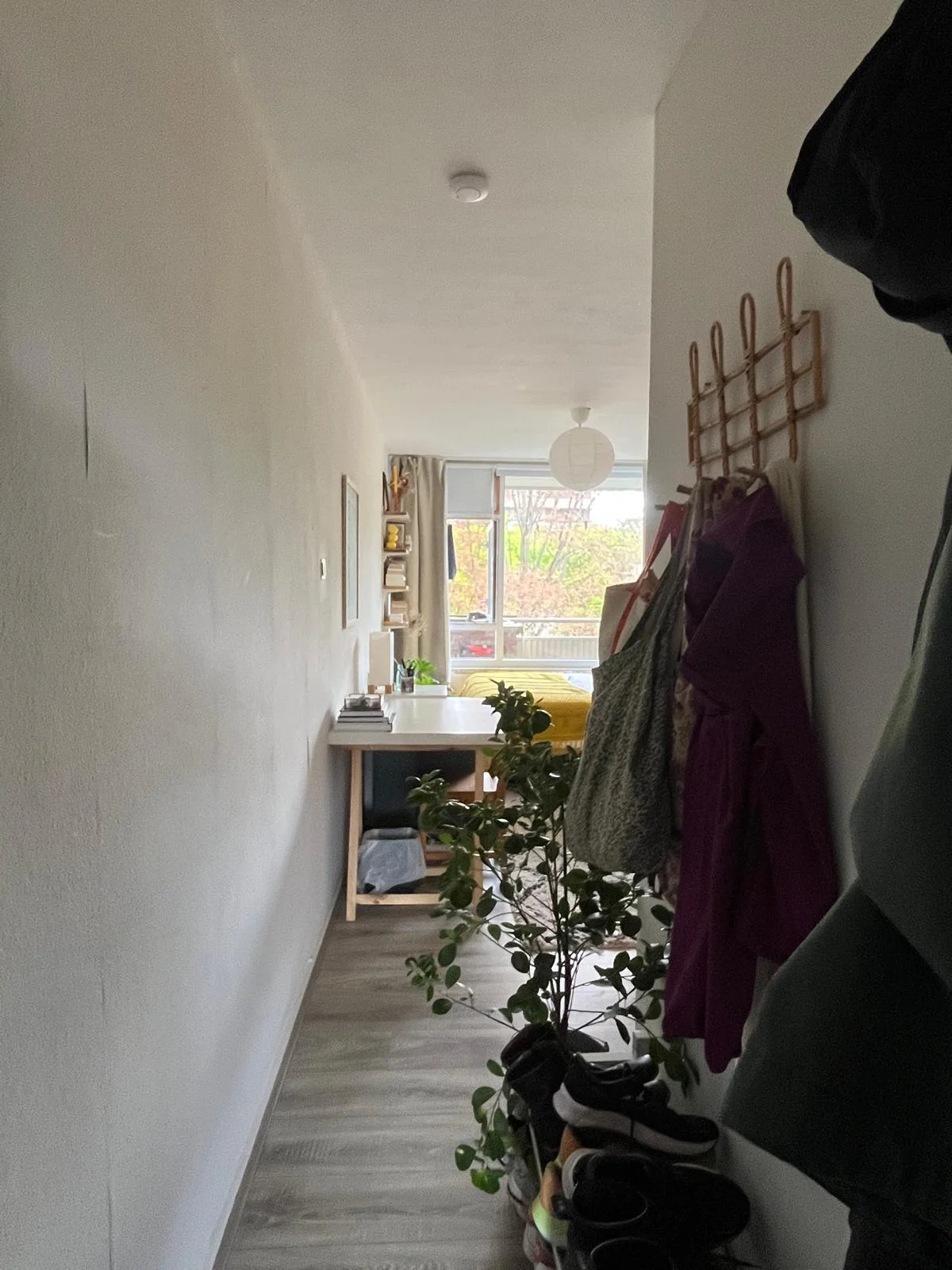 Foto van de Kamer gelegen aan de Roland Holstlaan in Delft