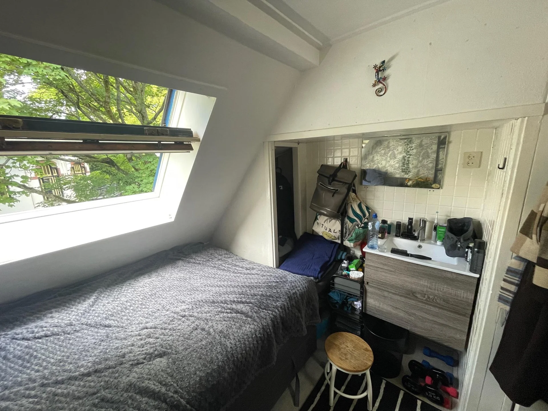 Foto van de Kamer gelegen aan de Zuiderpark in Groningen