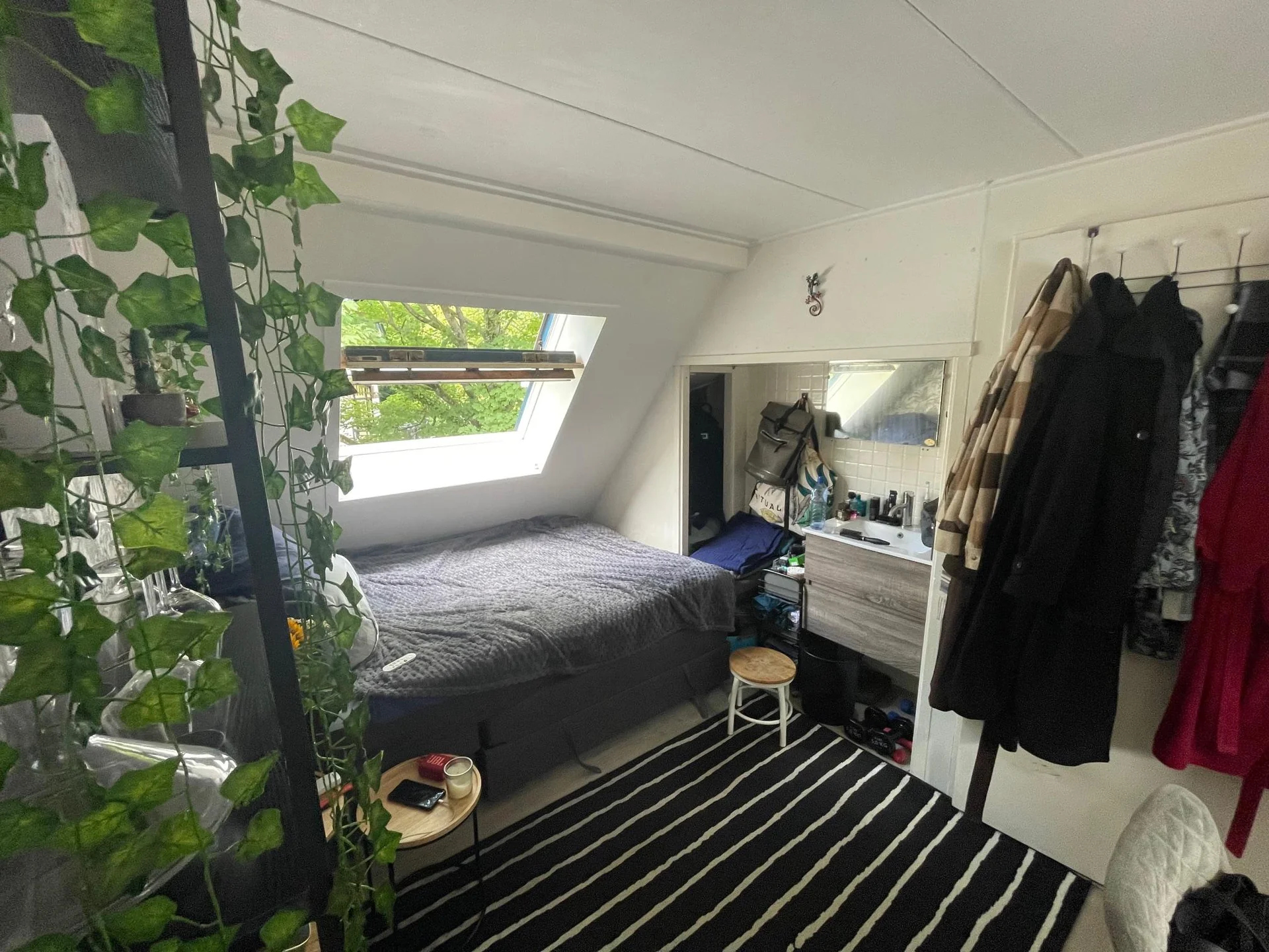 Foto van de Kamer gelegen aan de Zuiderpark in Groningen