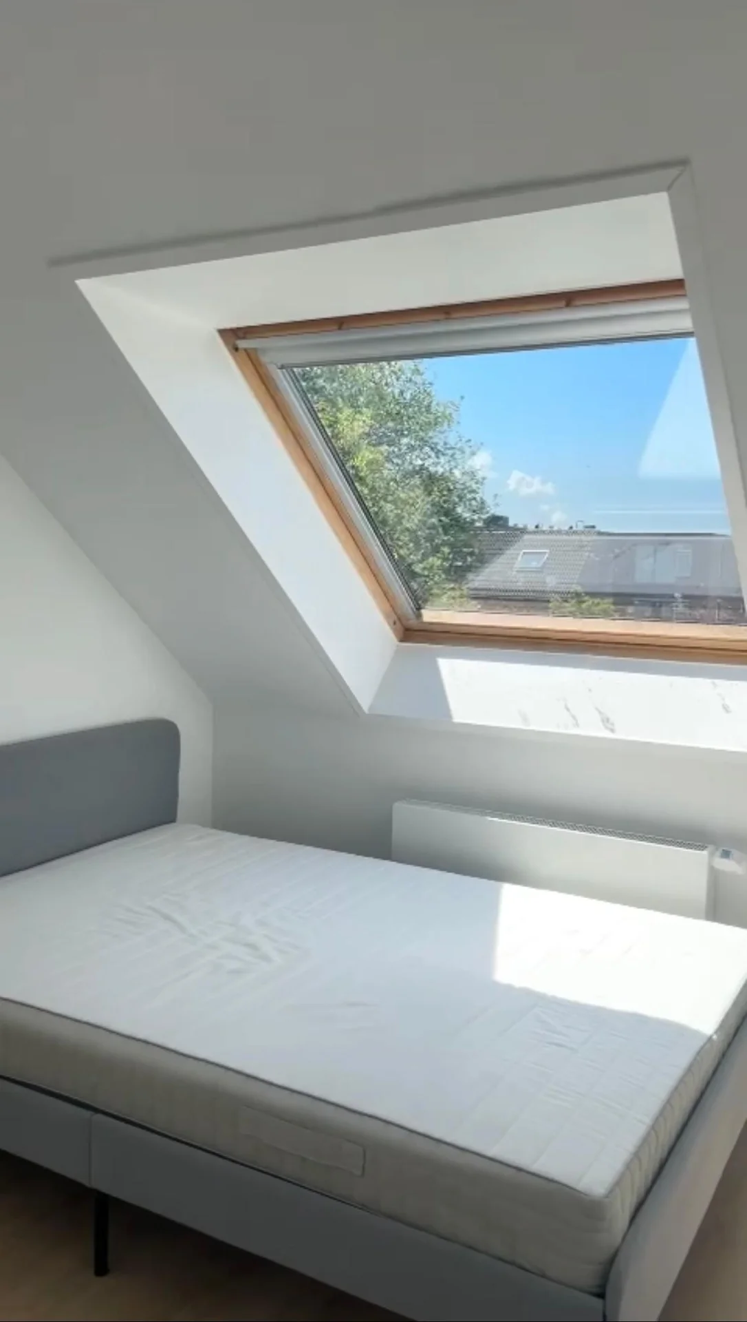Foto van de Kamer gelegen aan de Jacob Catsstraat in Den Haag