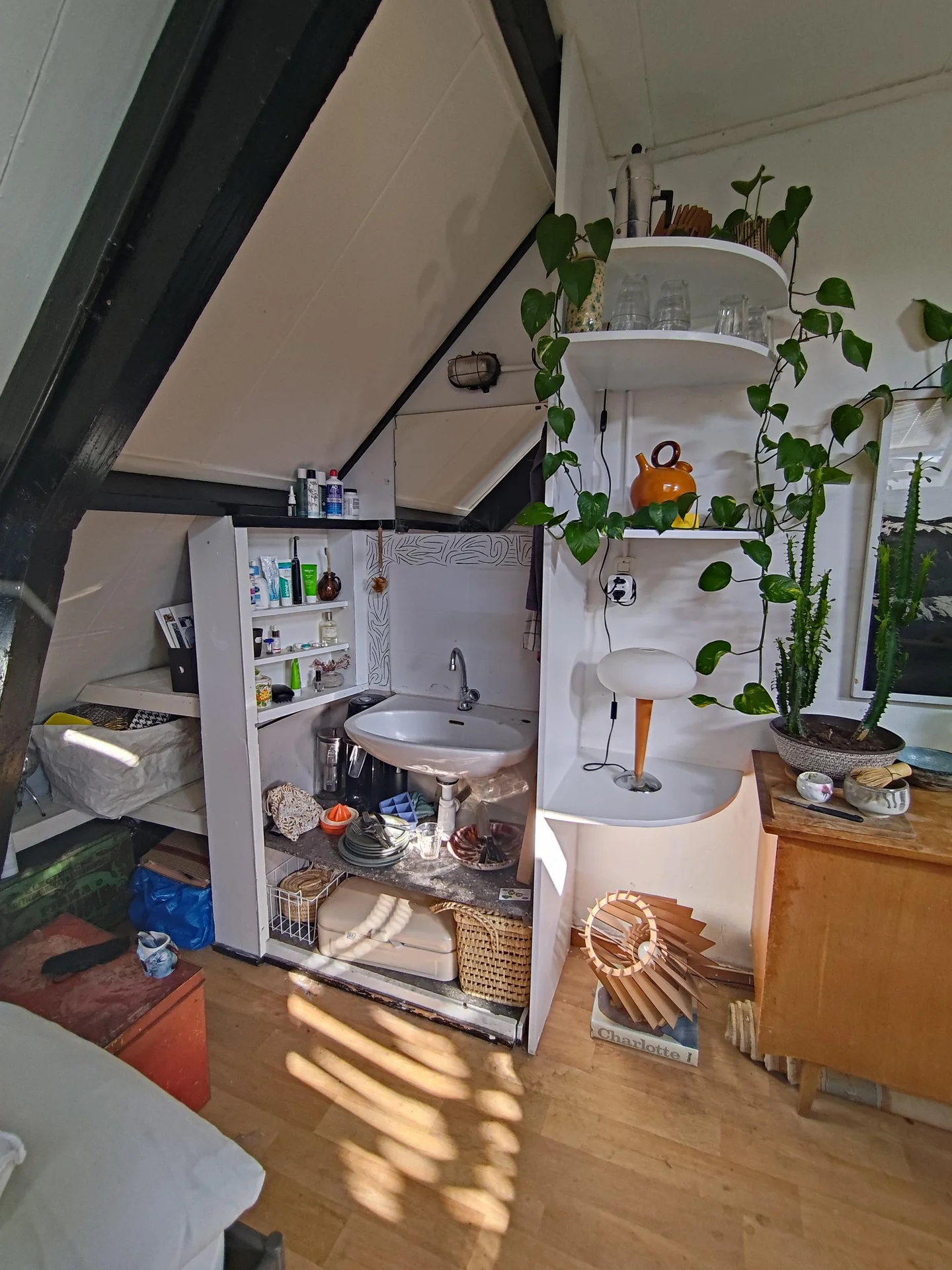 Foto van de Kamer gelegen aan de Emmastraat in Arnhem