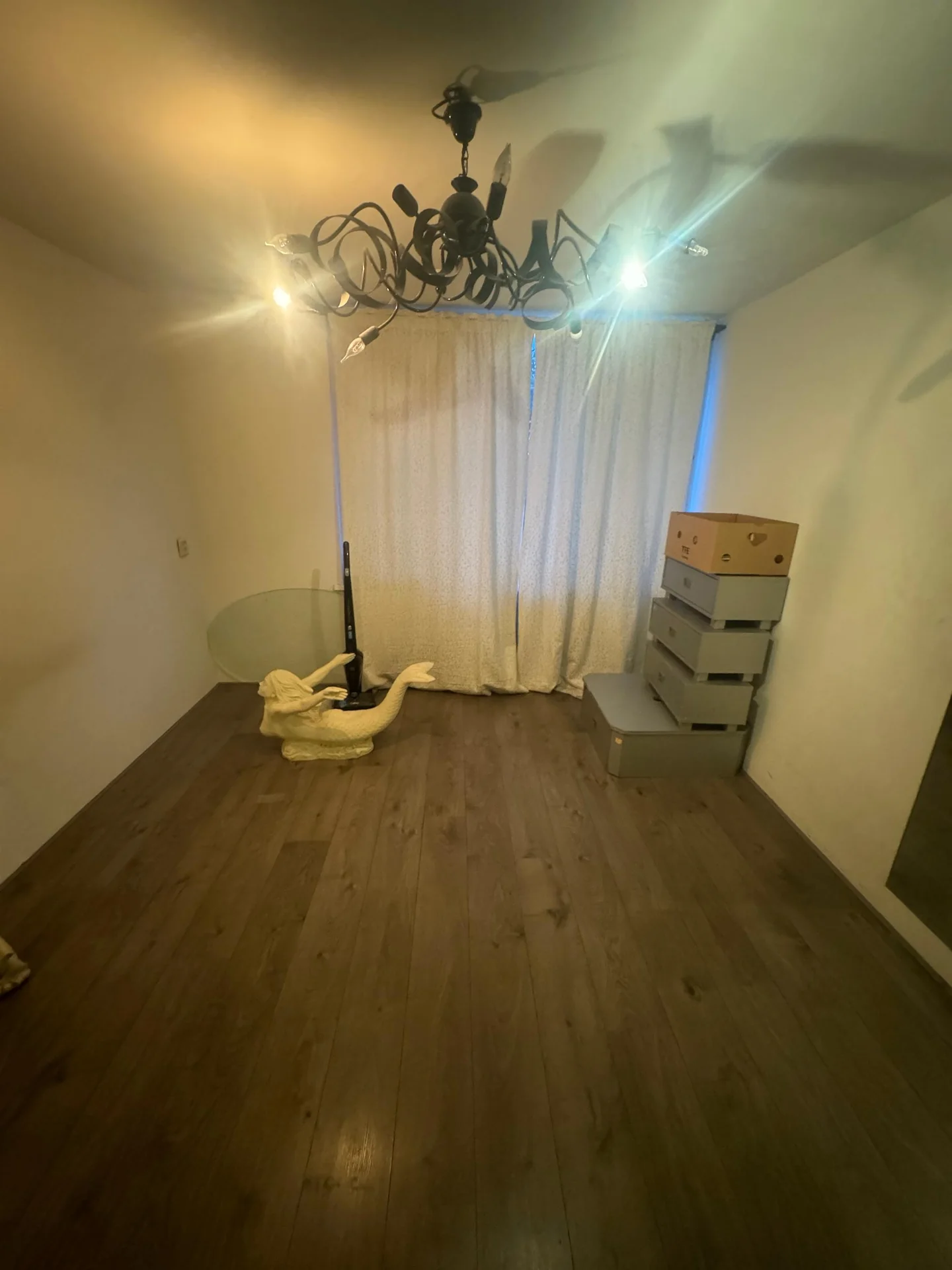 Foto van de Kamer gelegen aan de Pestalozzistraat in Haarlem
