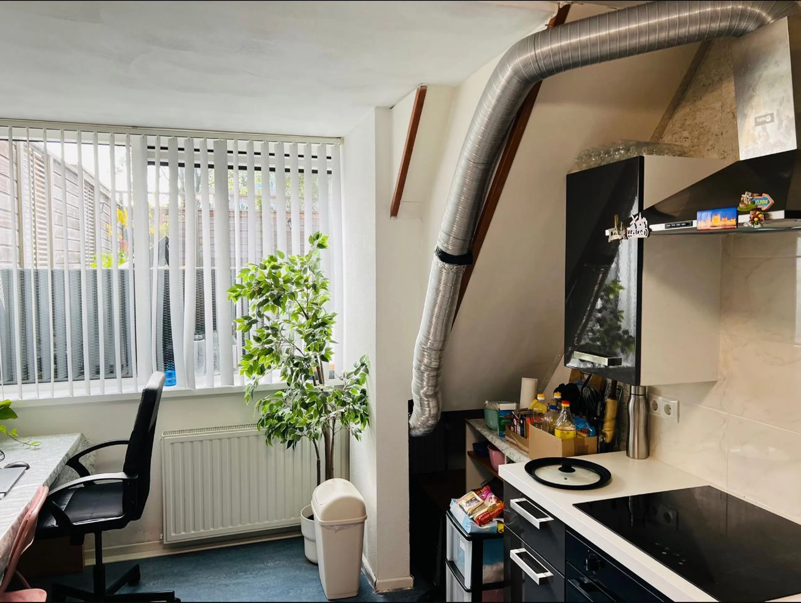 Foto van de Studio gelegen aan de Engelandstraat in IJsselstein